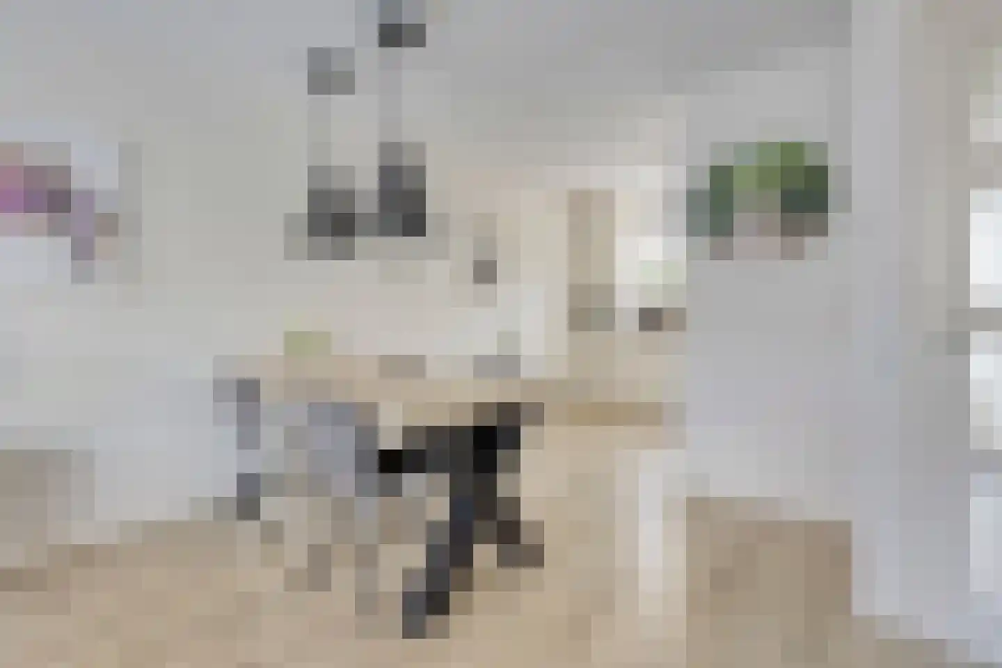Ary Schefferlaan 8 Hendrik-Ido-Ambacht thumbnail 13