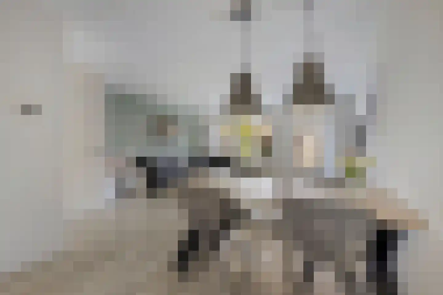 Ary Schefferlaan 8 Hendrik-Ido-Ambacht thumbnail 14