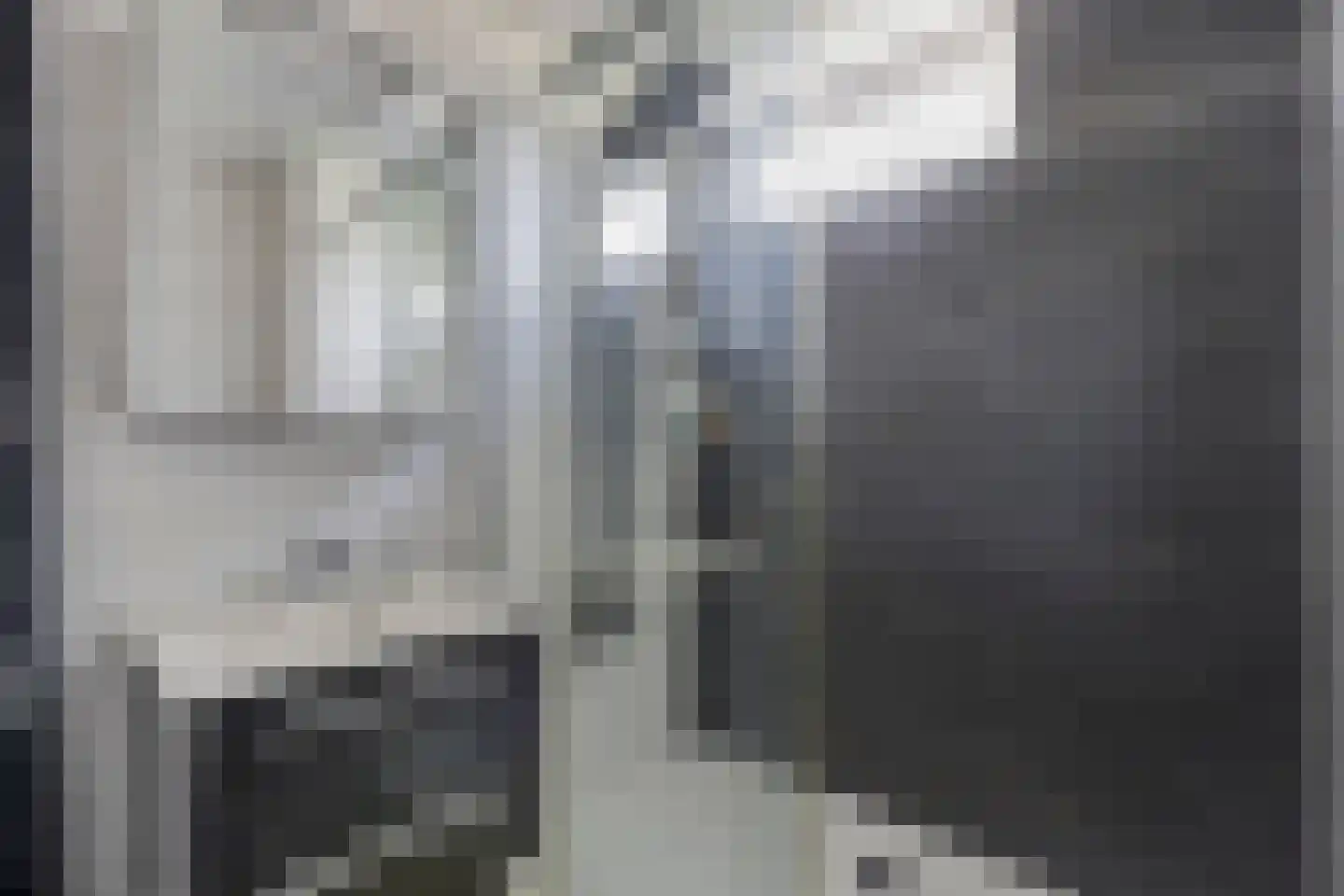 Ary Schefferlaan 8 Hendrik-Ido-Ambacht thumbnail 23