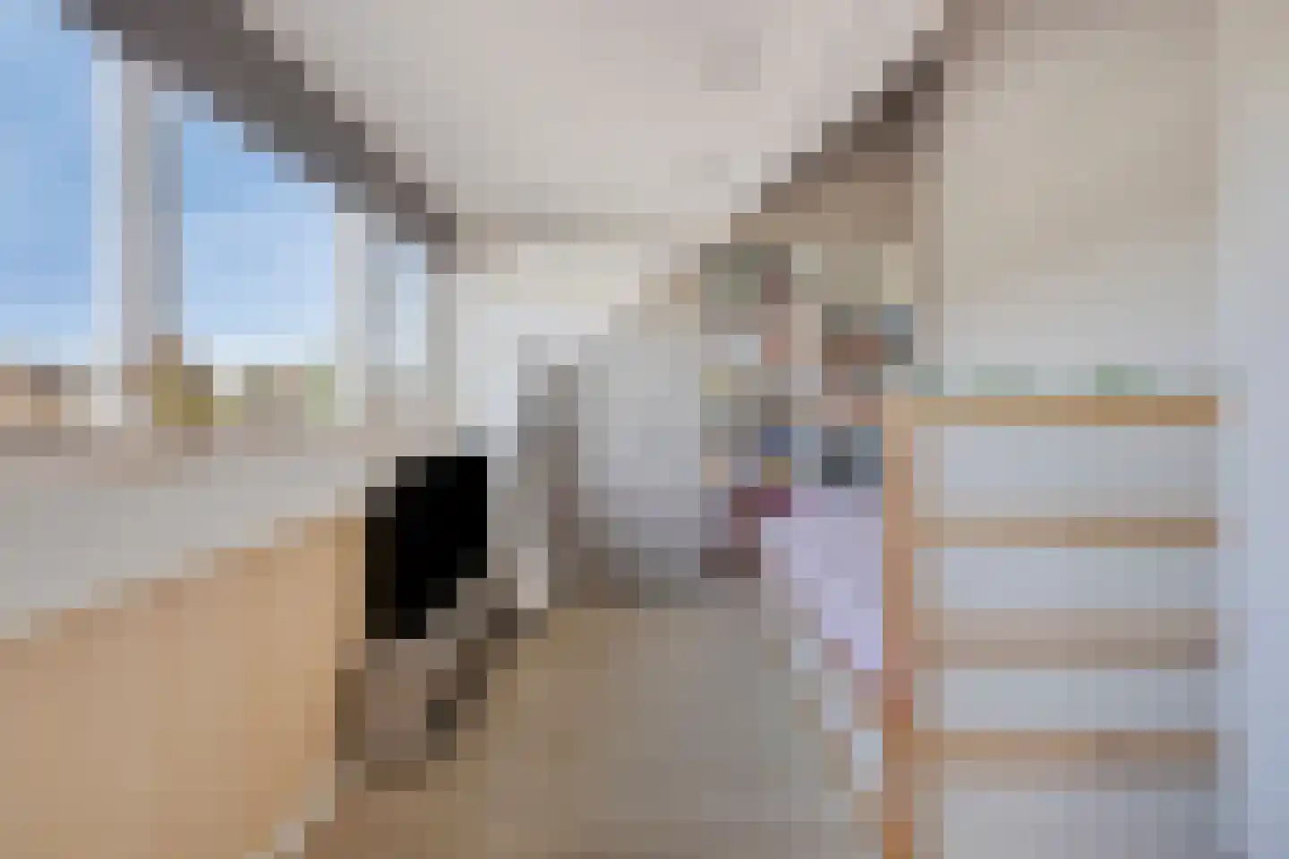 Ary Schefferlaan 8 Hendrik-Ido-Ambacht thumbnail 28