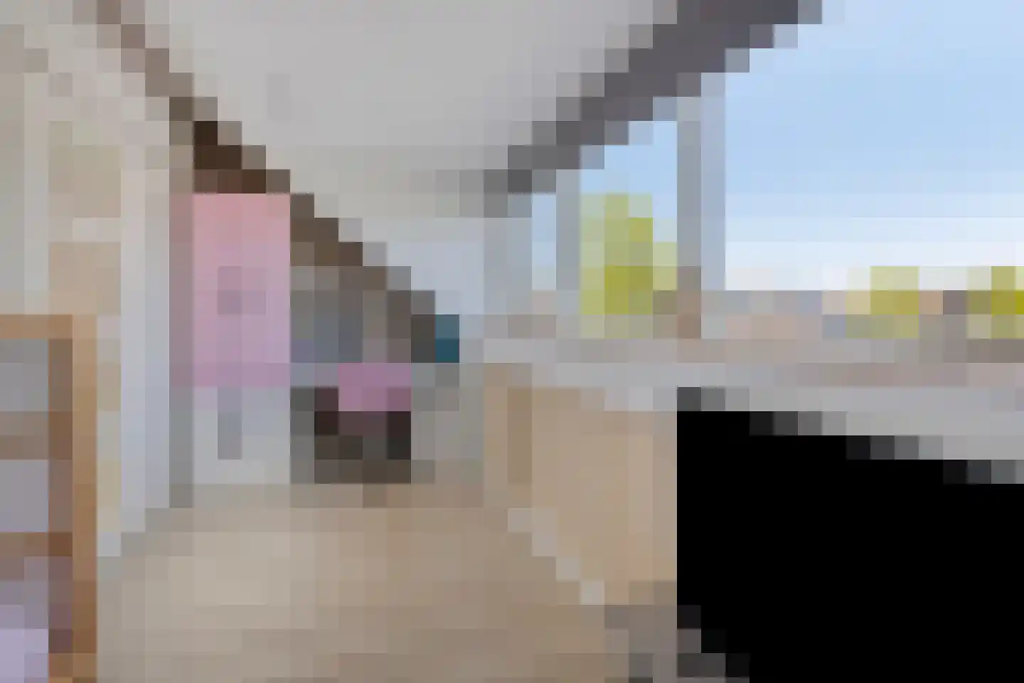 Ary Schefferlaan 8 Hendrik-Ido-Ambacht thumbnail 29