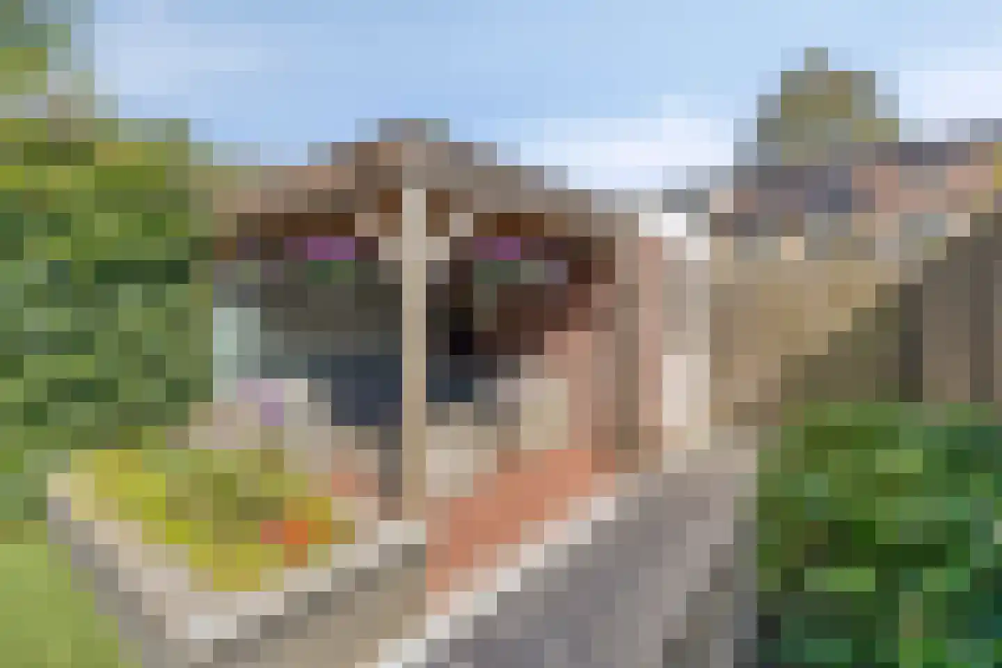 Ary Schefferlaan 8 Hendrik-Ido-Ambacht thumbnail 32