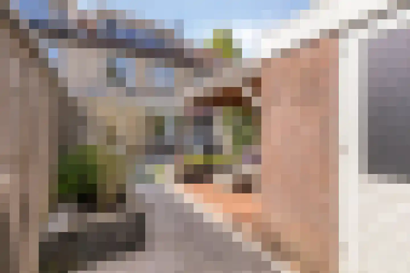 Ary Schefferlaan 8 Hendrik-Ido-Ambacht thumbnail 35