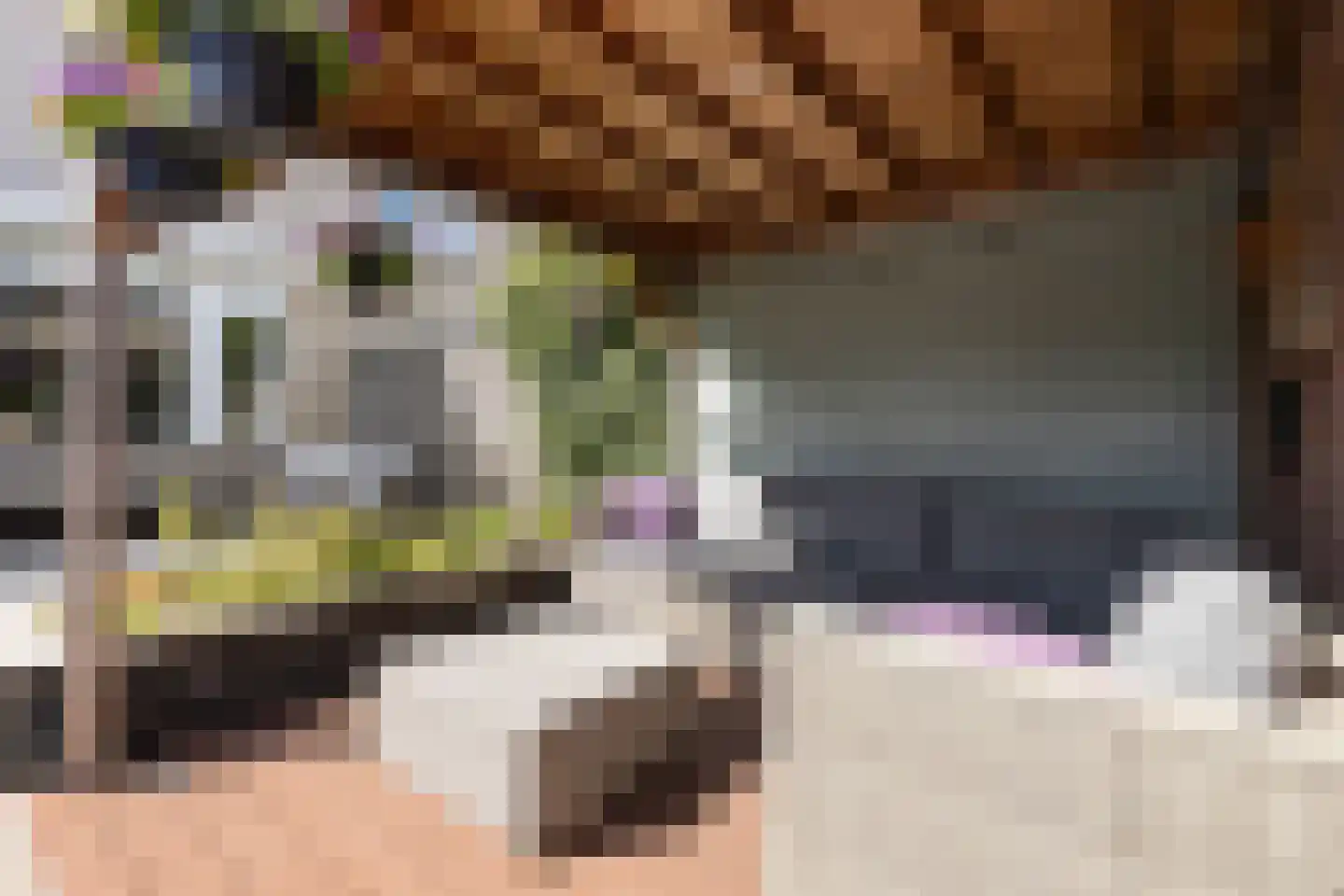 Ary Schefferlaan 8 Hendrik-Ido-Ambacht thumbnail 37
