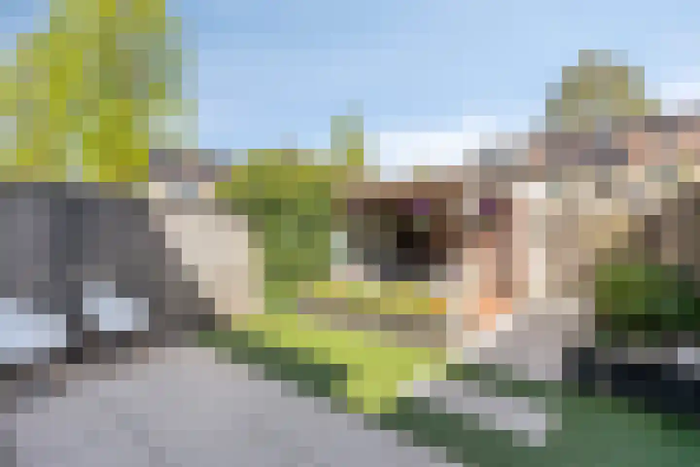 Ary Schefferlaan 8 Hendrik-Ido-Ambacht thumbnail 4