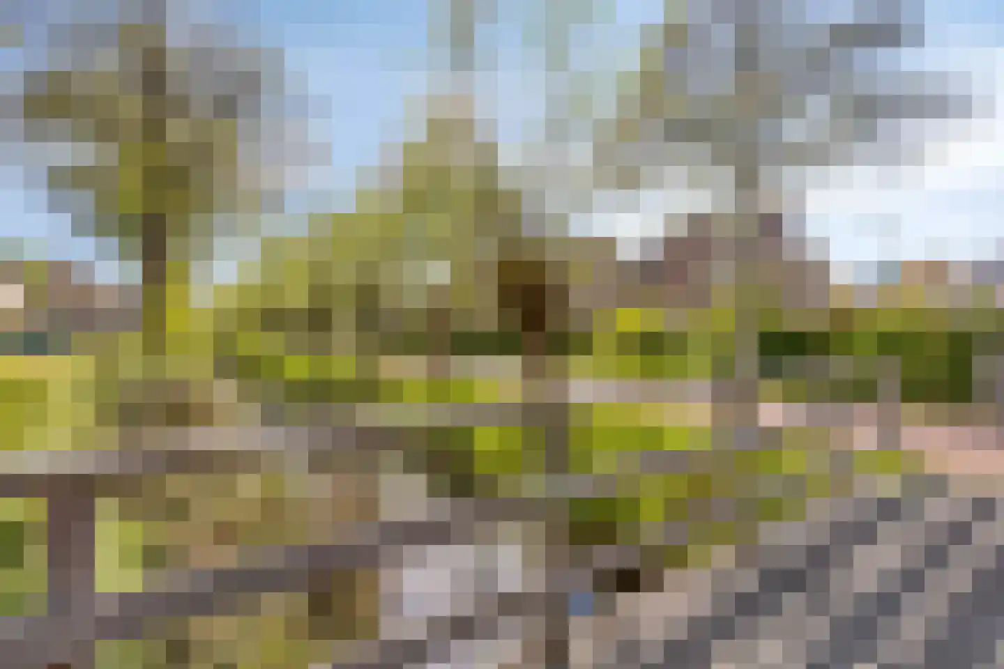 Ary Schefferlaan 8 Hendrik-Ido-Ambacht thumbnail 40