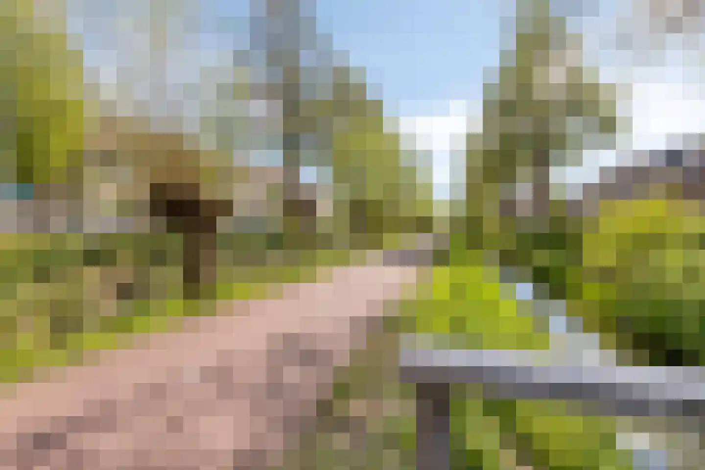 Ary Schefferlaan 8 Hendrik-Ido-Ambacht thumbnail 41