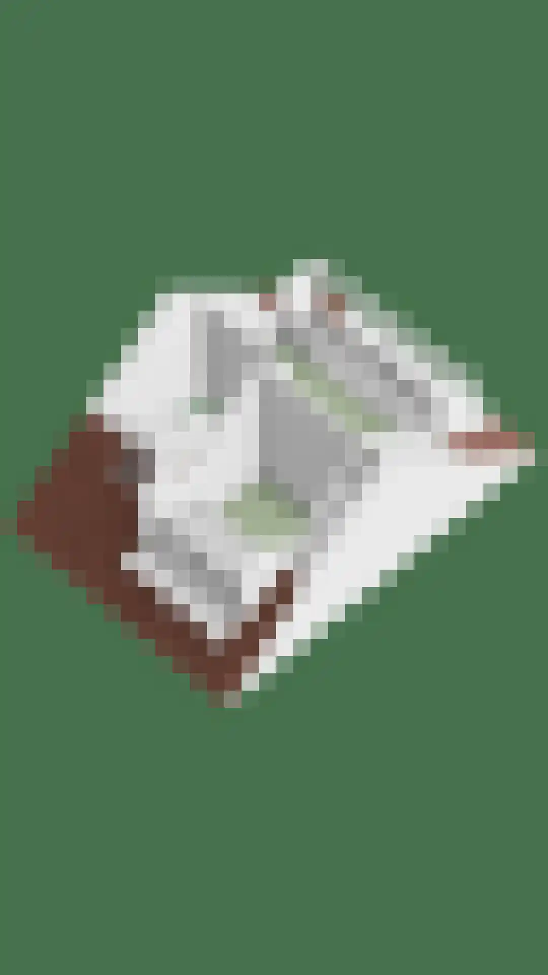 Ary Schefferlaan 8 Hendrik-Ido-Ambacht thumbnail 51