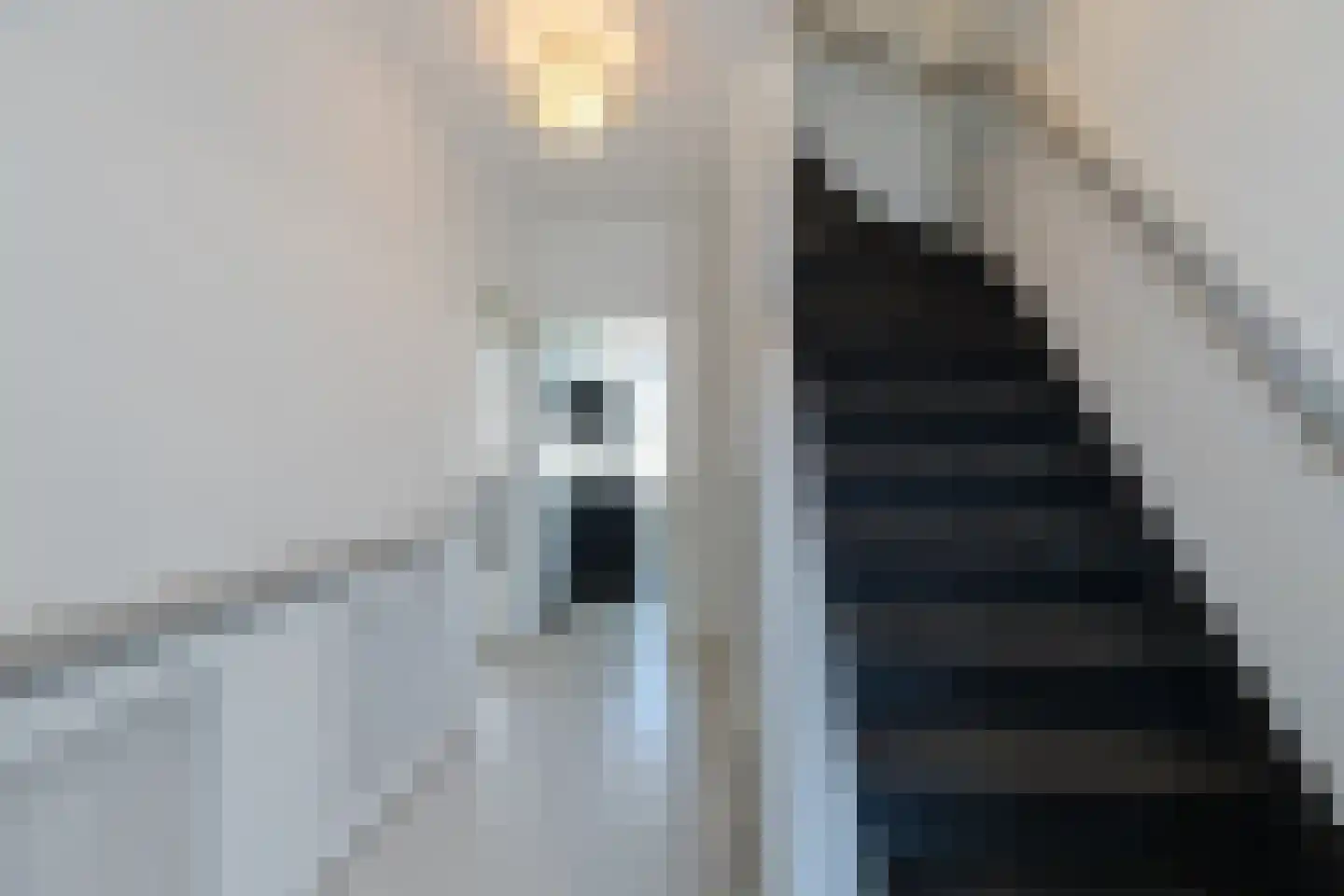 Ary Scheffersingel 20 Papendrecht thumbnail 12