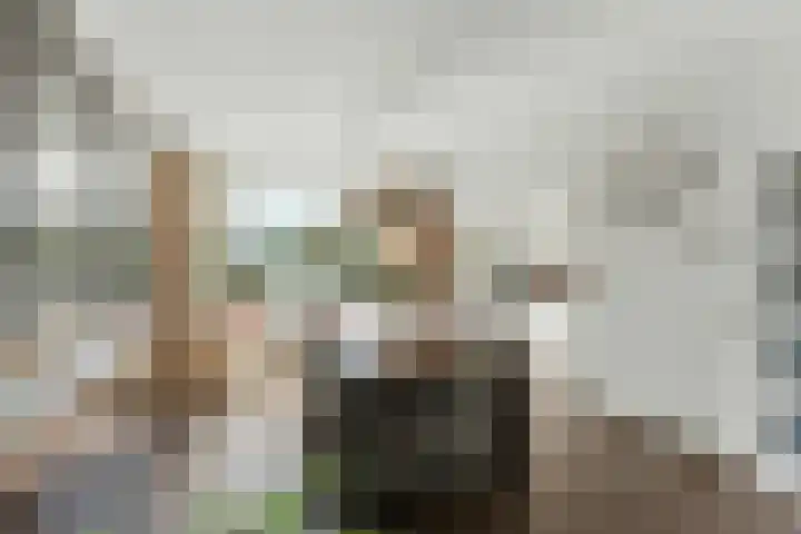 Ary Scheffersingel 8 Papendrecht thumbnail 10