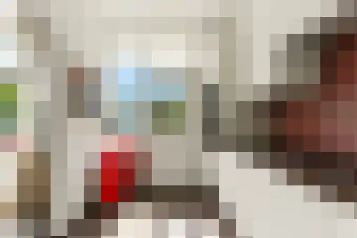 Ary Scheffersingel 8 Papendrecht thumbnail 18
