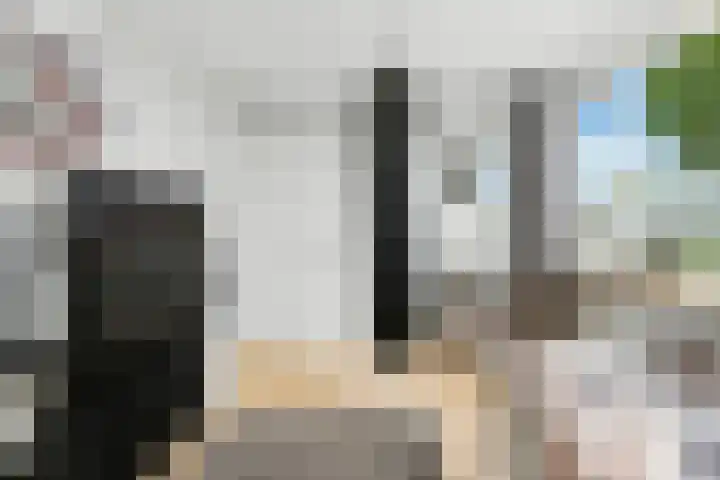 Ary Scheffersingel 8 Papendrecht thumbnail 21