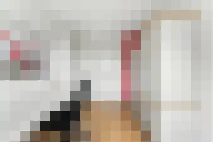 Ary Scheffersingel 8 Papendrecht thumbnail 26