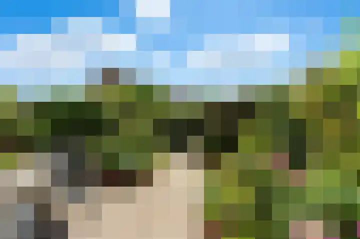 Ary Scheffersingel 8 Papendrecht thumbnail 37