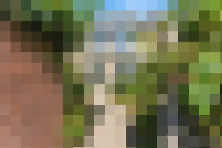 Ary Scheffersingel 8 Papendrecht thumbnail 40