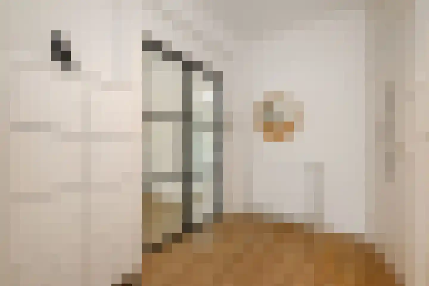 Ary Schefferstraat 111 Den Haag thumbnail 19