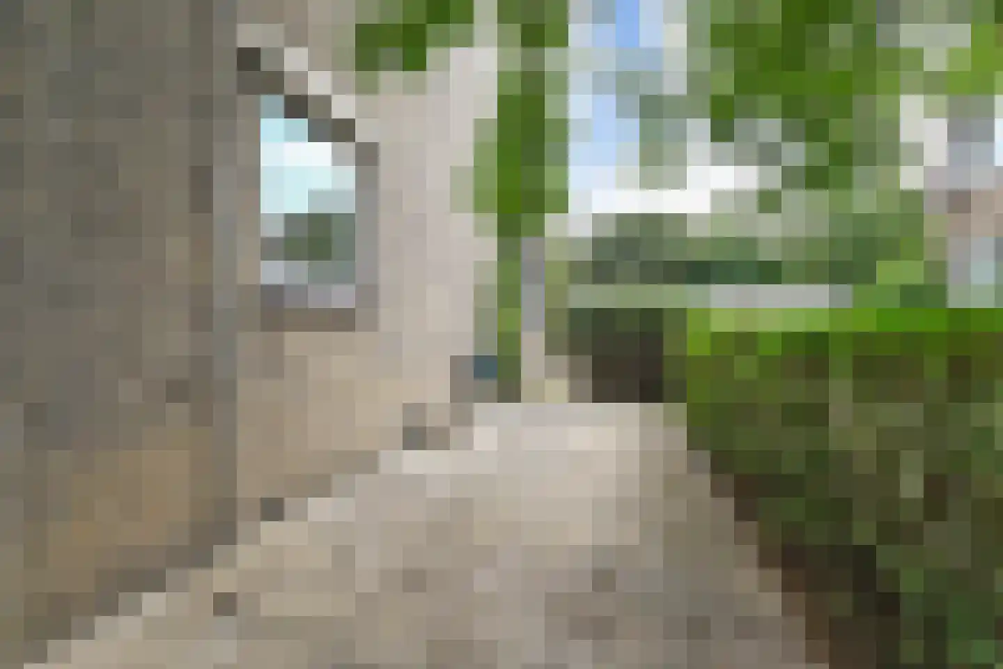 Ary Schefferstraat 111 Den Haag thumbnail 22