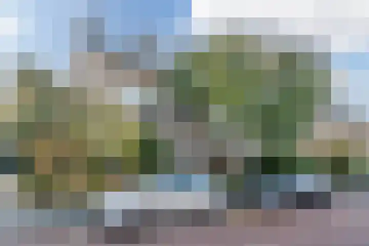 Ary Schefferstraat 183 in Den Haag