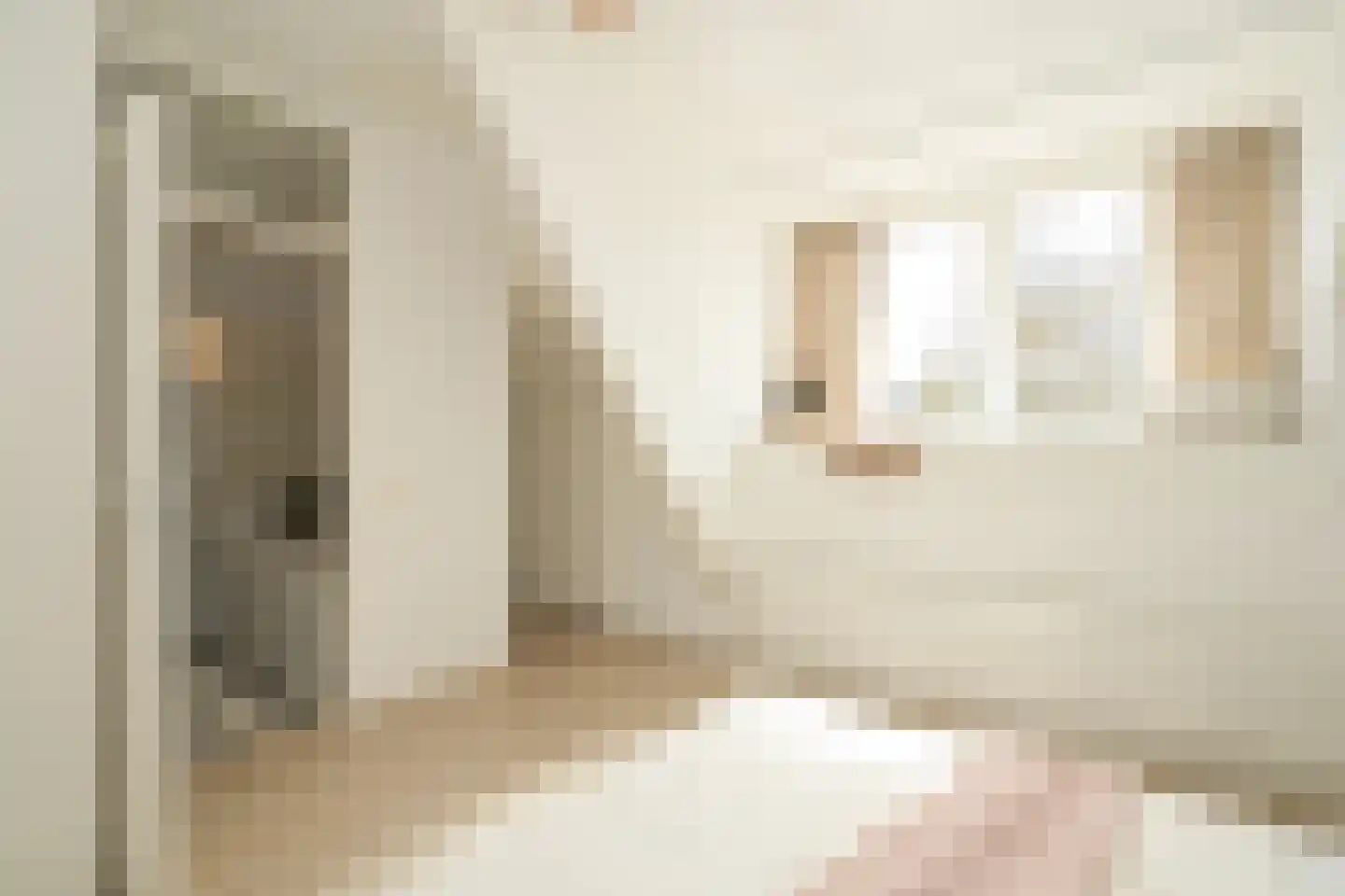 Ary Schefferstraat 22 Den Haag thumbnail 16