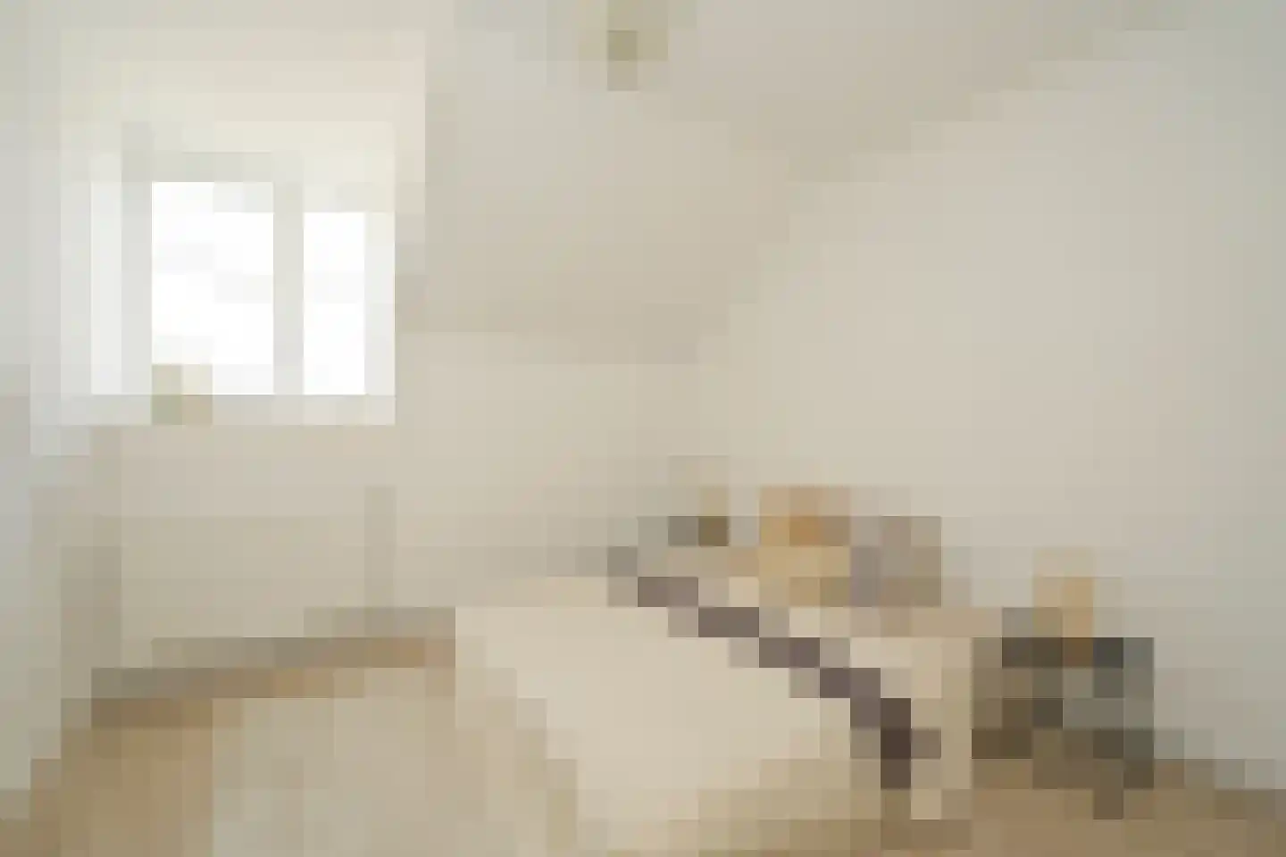 Ary Schefferstraat 22 Den Haag thumbnail 19