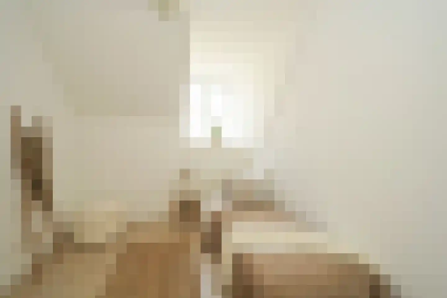 Ary Schefferstraat 22 Den Haag thumbnail 20