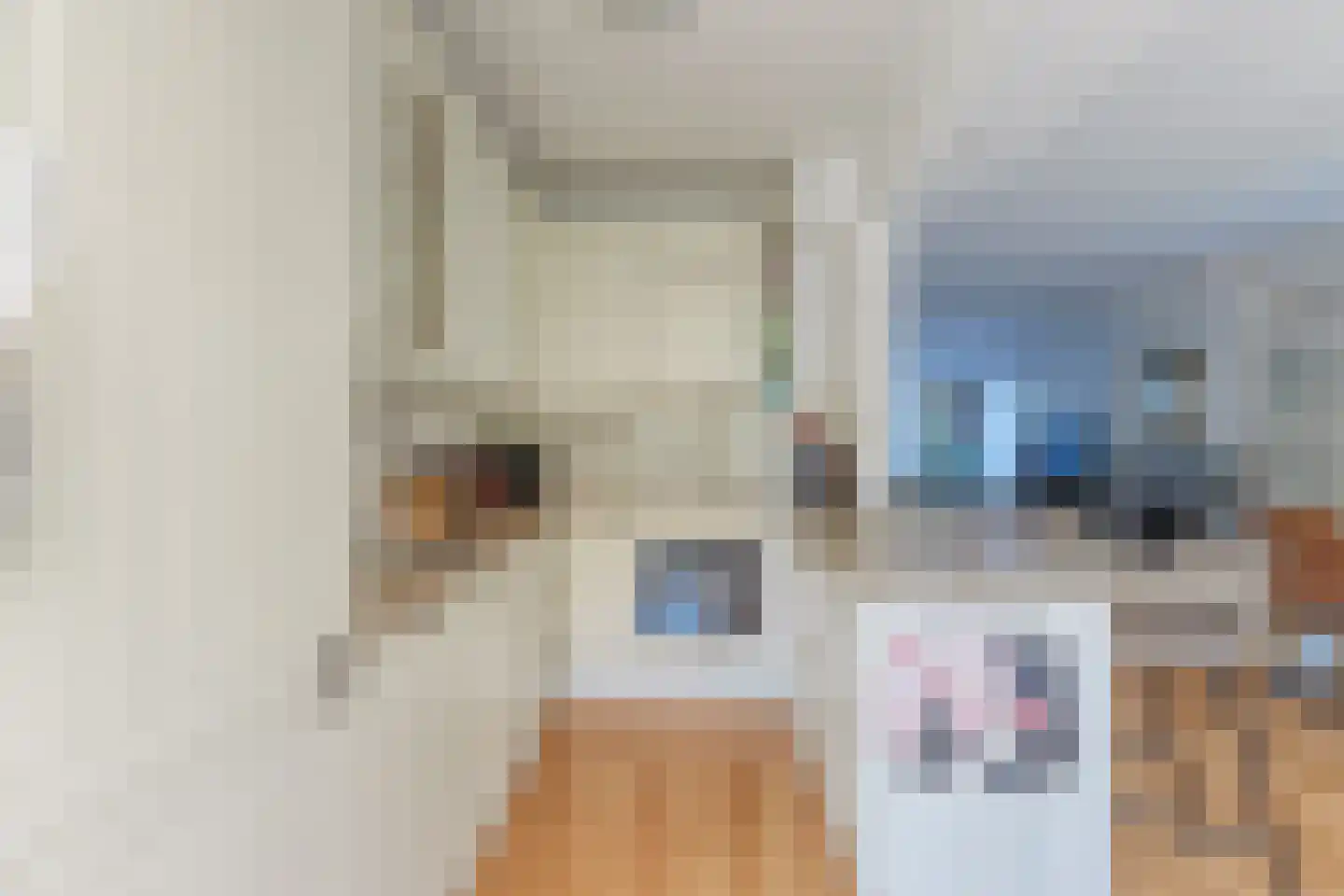 Ary Schefferstraat 229 Den Haag thumbnail 13