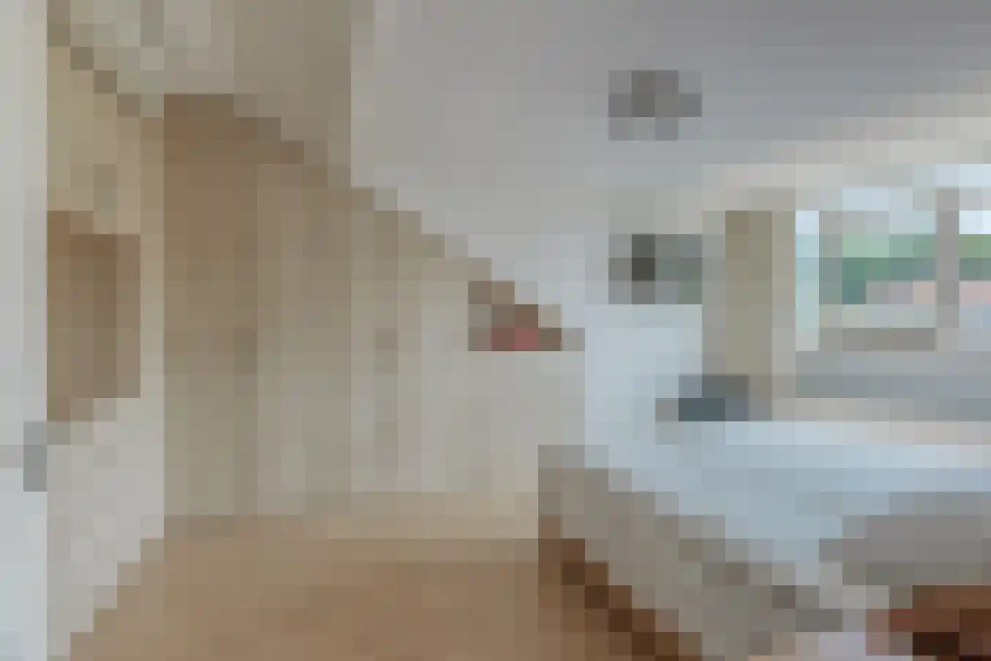 Ary Schefferstraat 229 Den Haag thumbnail 25