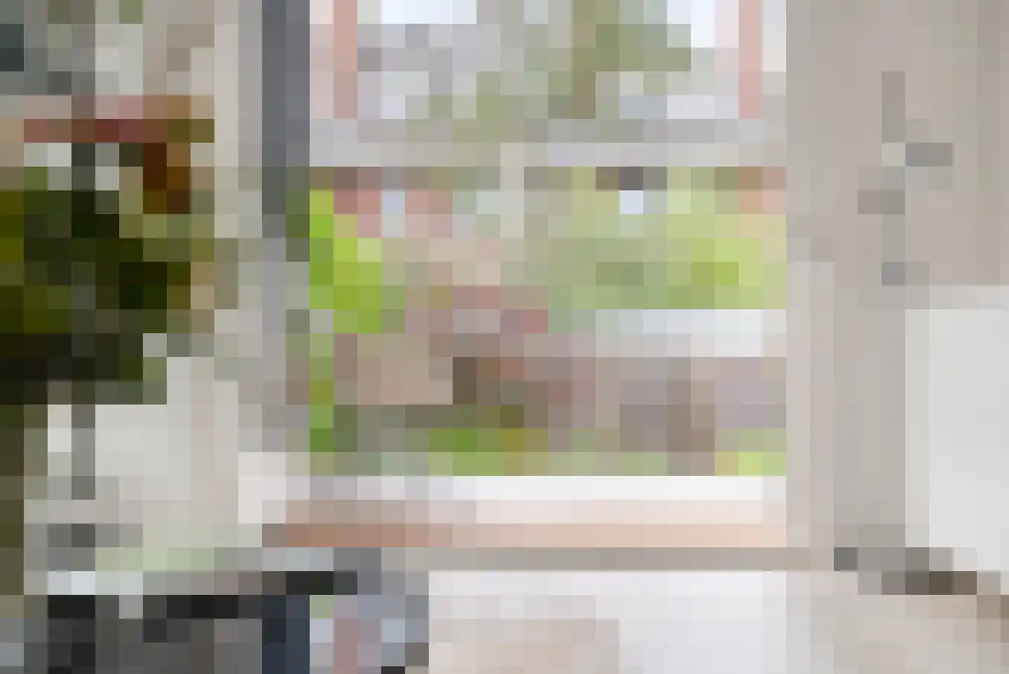Ary Schefferstraat 35 Den Haag thumbnail 6