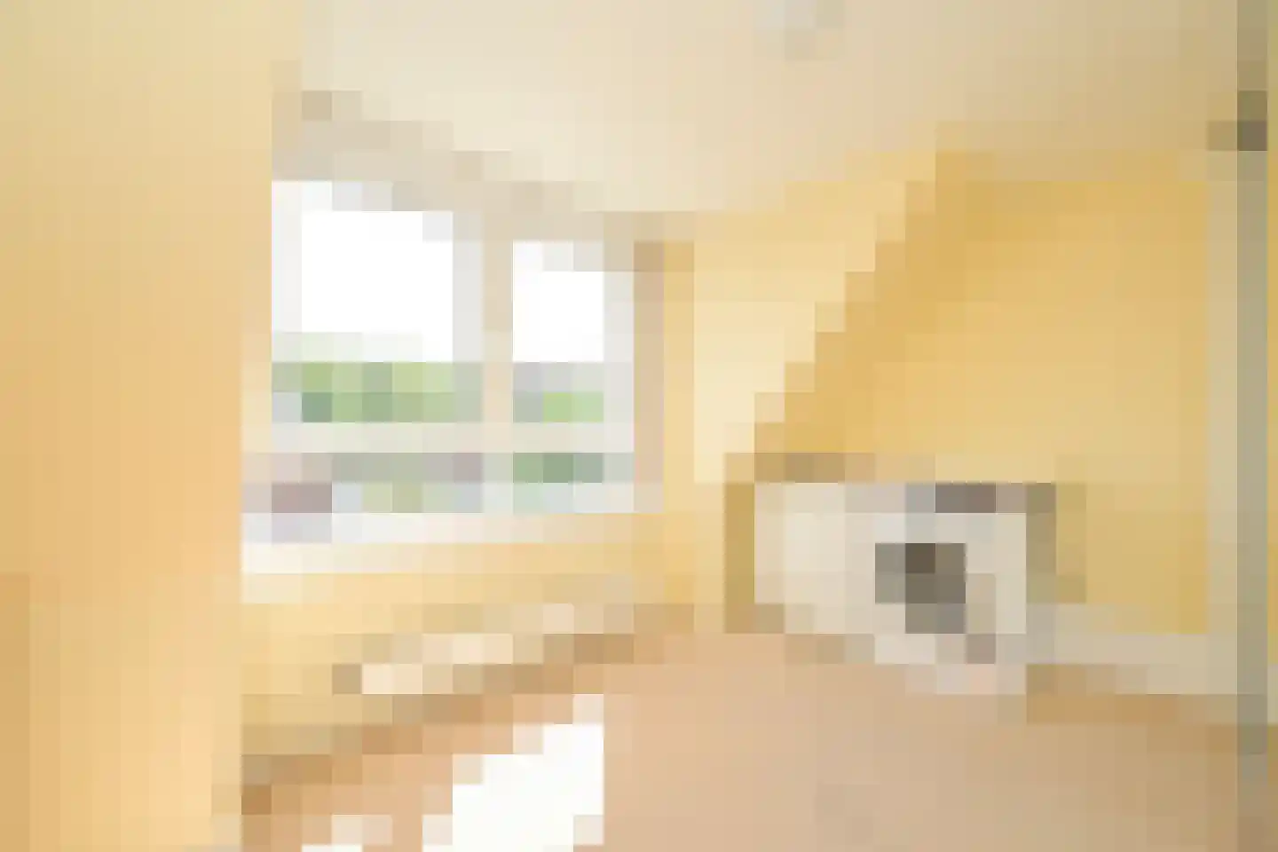 Ary Schefferstraat 37 Den Haag thumbnail 23