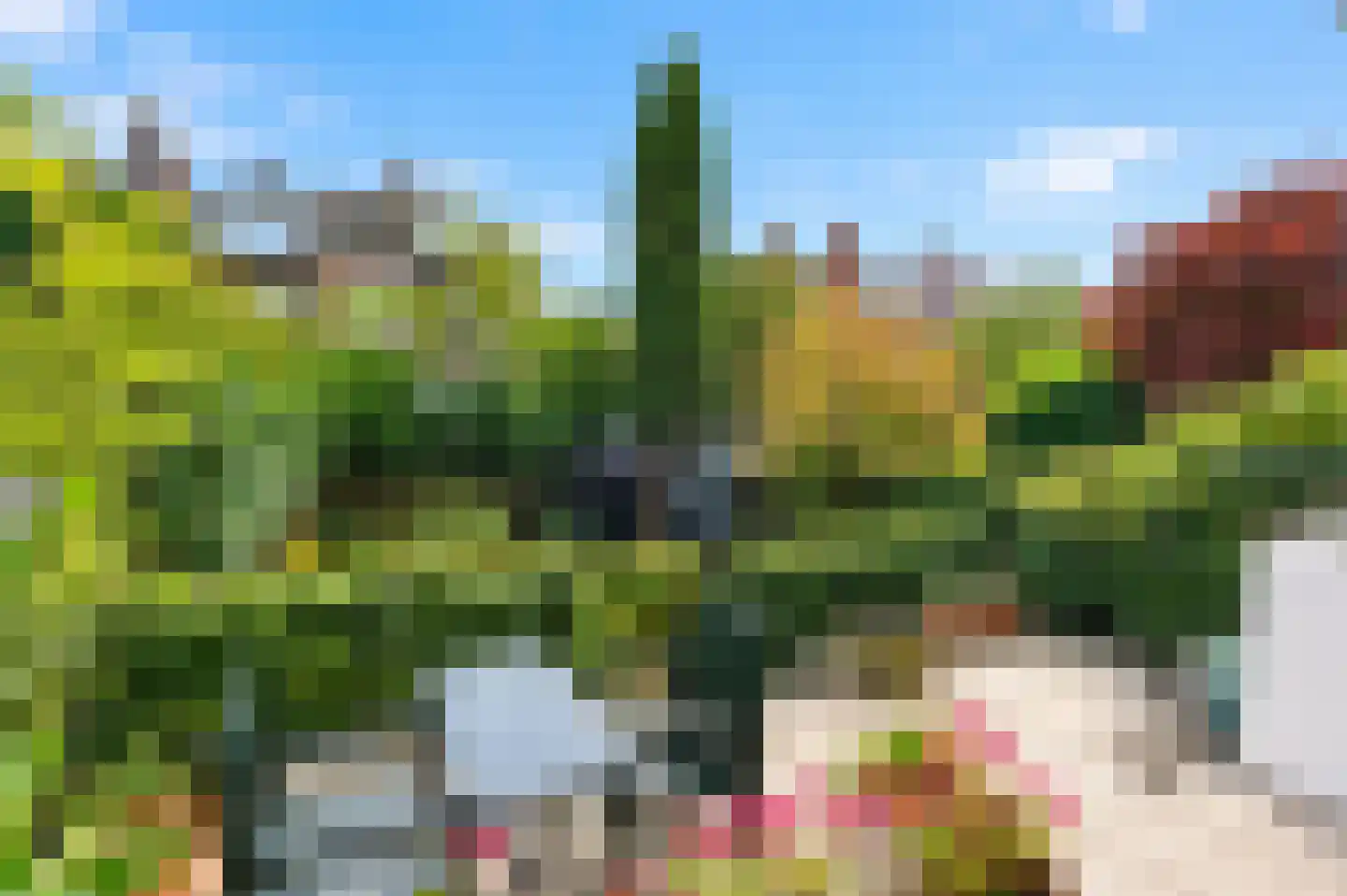 Ary Schefferstraat 49 Den Haag thumbnail 14