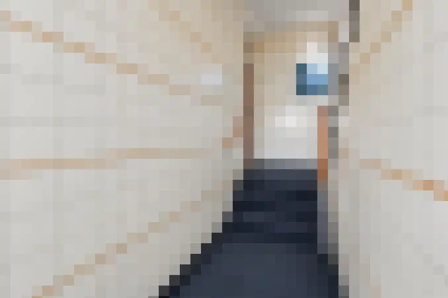 Ary Schefferstraat 49 Den Haag thumbnail 31
