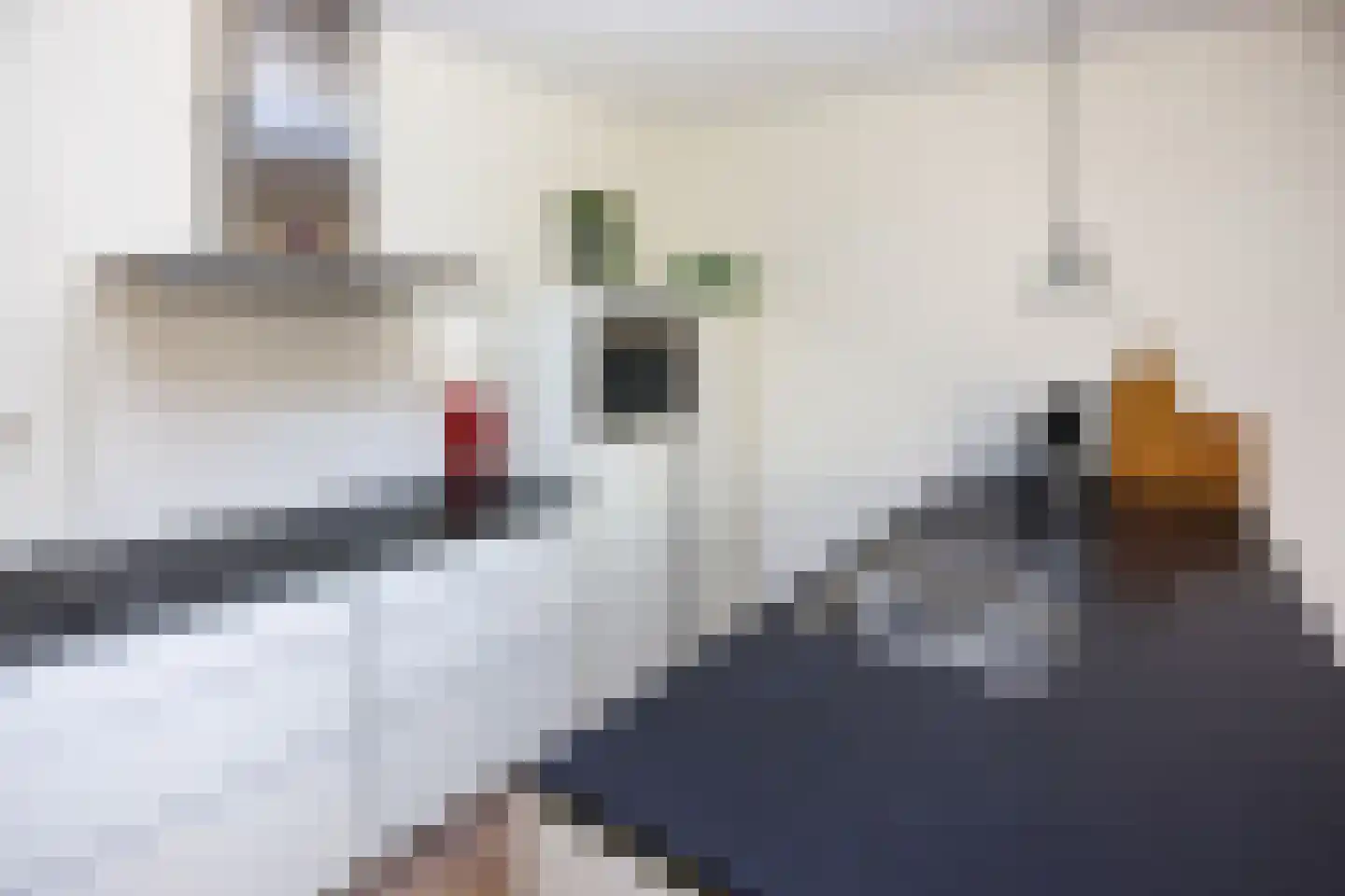 Asakkerhof 4 Ede thumbnail 15