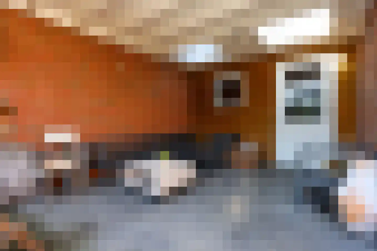 Asakkerhof 4 Ede thumbnail 31