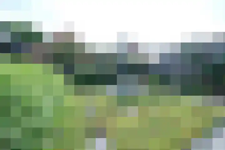 Asakkerweg 29 Ede thumbnail 33