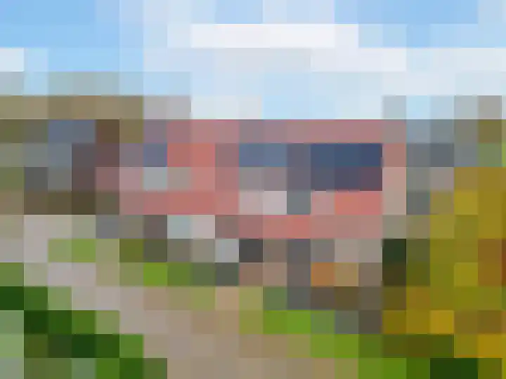 Asboom 13 Overlangel