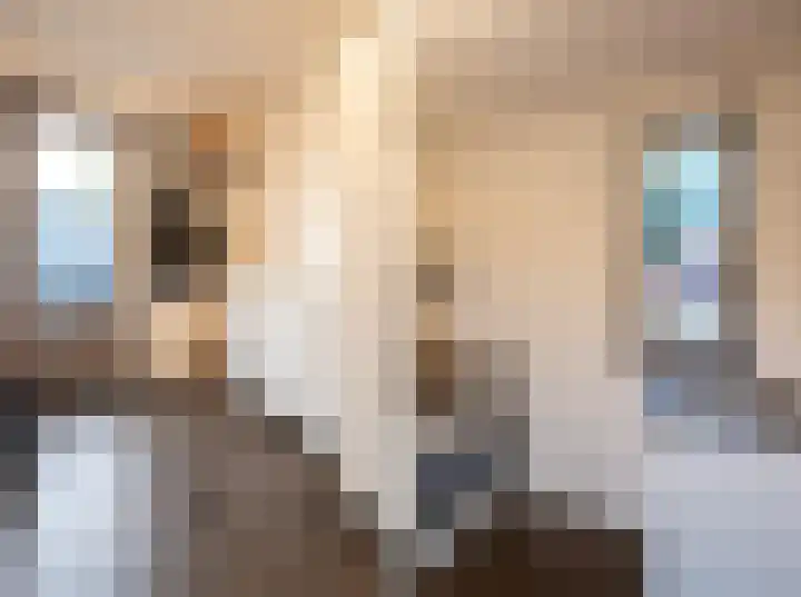 Asboom 13 Overlangel thumbnail 12