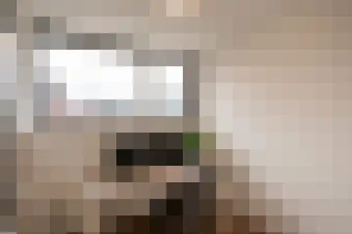 Asboom 13 Overlangel thumbnail 15