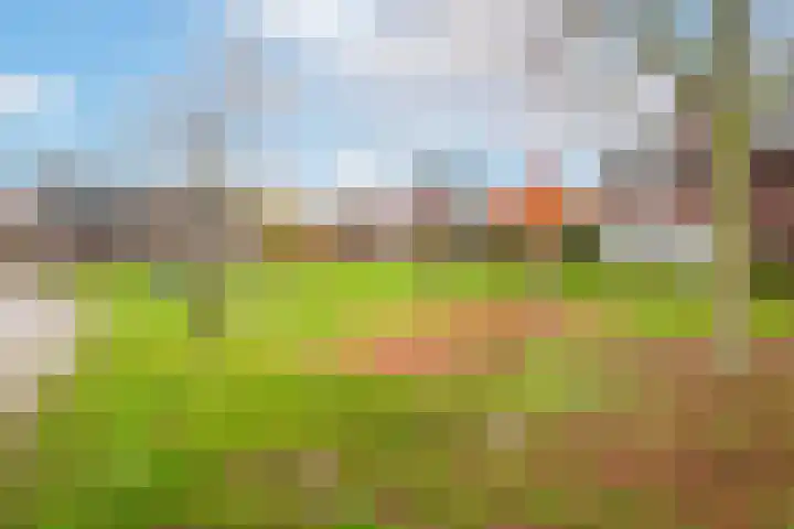 Asboom 13 Overlangel thumbnail 23