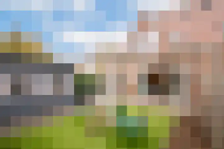 Asboom 13 Overlangel thumbnail 4