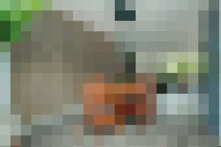 Asbreukerhoek 21 Enschede thumbnail 7