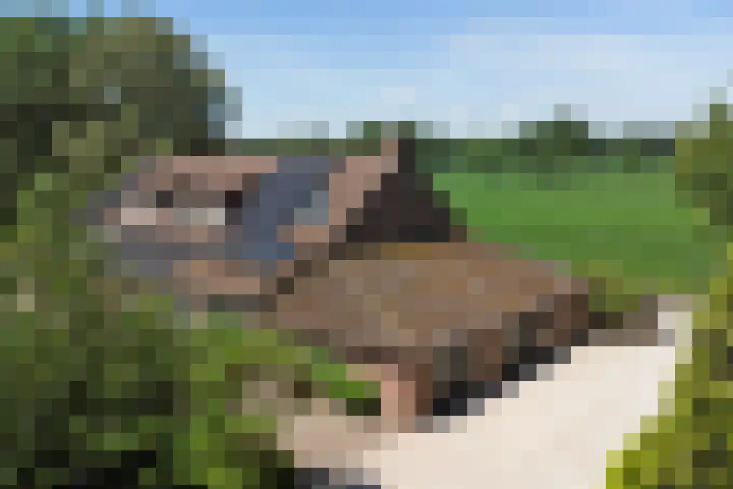 Asbroekweg 2 Maasbree thumbnail 100