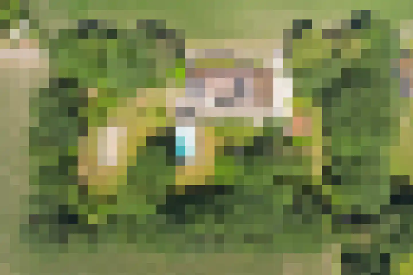 Asbroekweg 2 Maasbree thumbnail 102