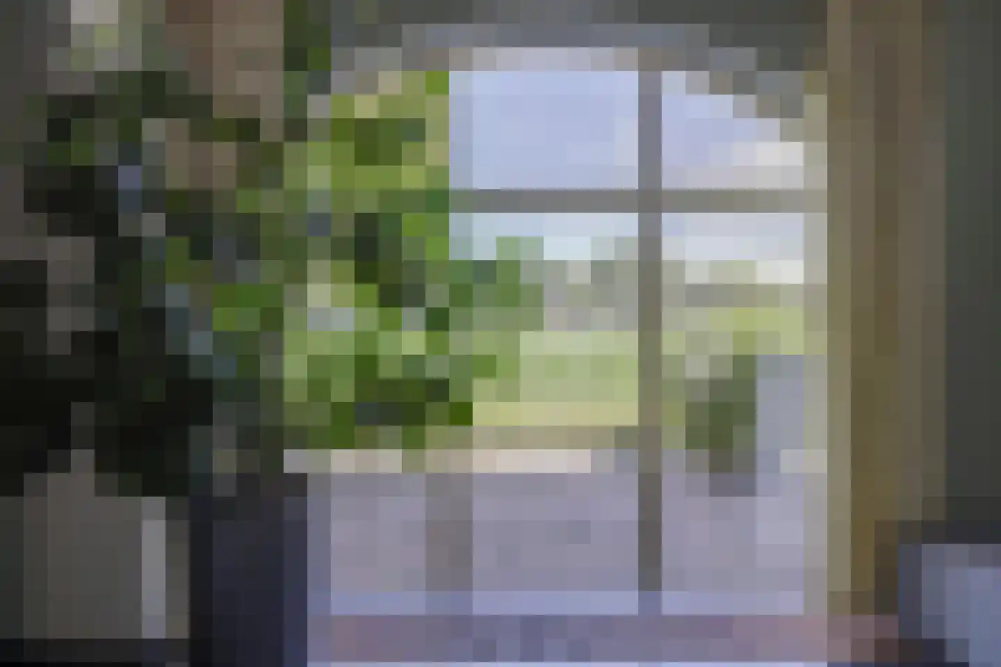 Asbroekweg 2 Maasbree thumbnail 14