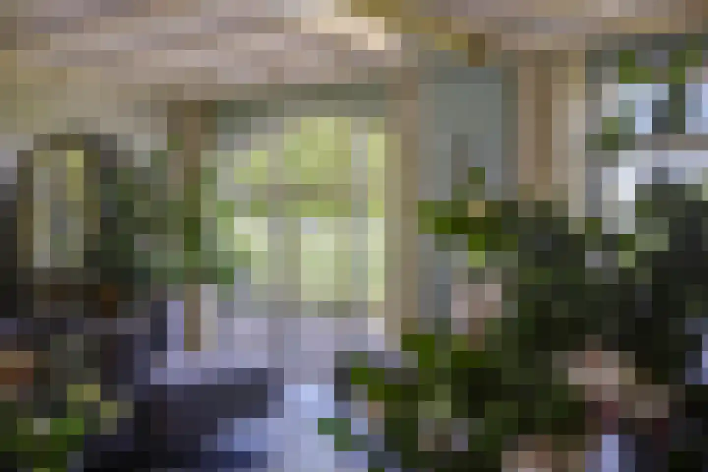 Asbroekweg 2 Maasbree thumbnail 16