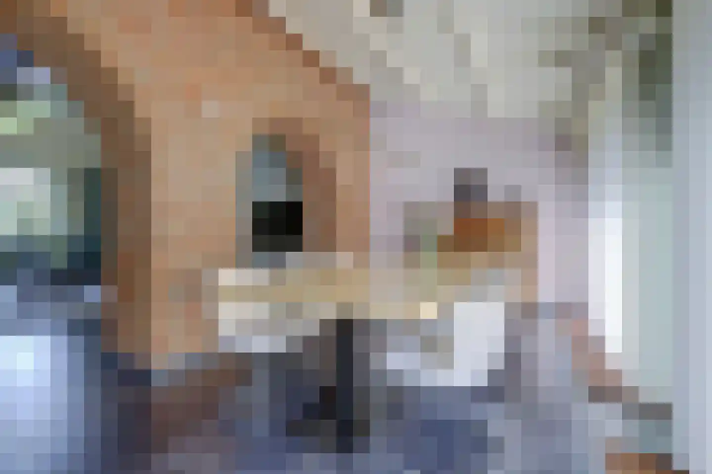 Asbroekweg 2 Maasbree thumbnail 20