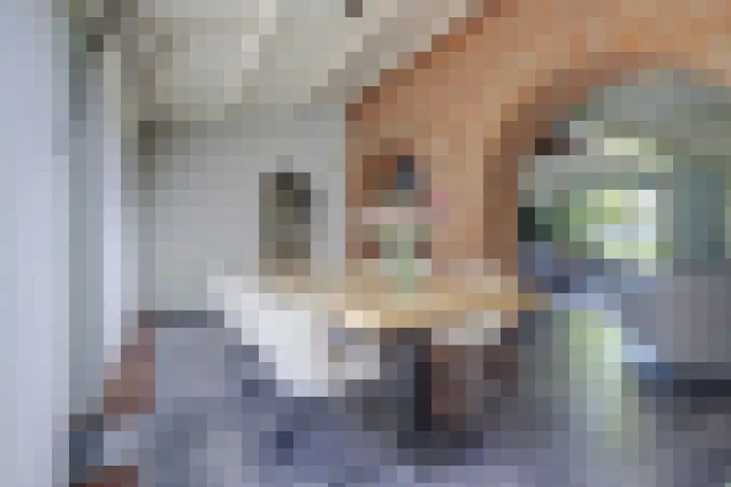 Asbroekweg 2 Maasbree thumbnail 21