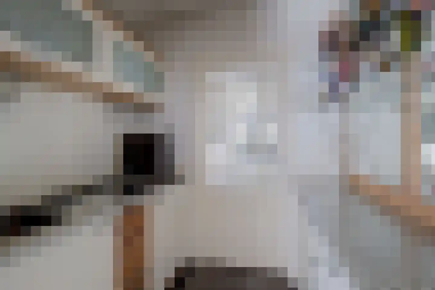 Asbroekweg 2 Maasbree thumbnail 23