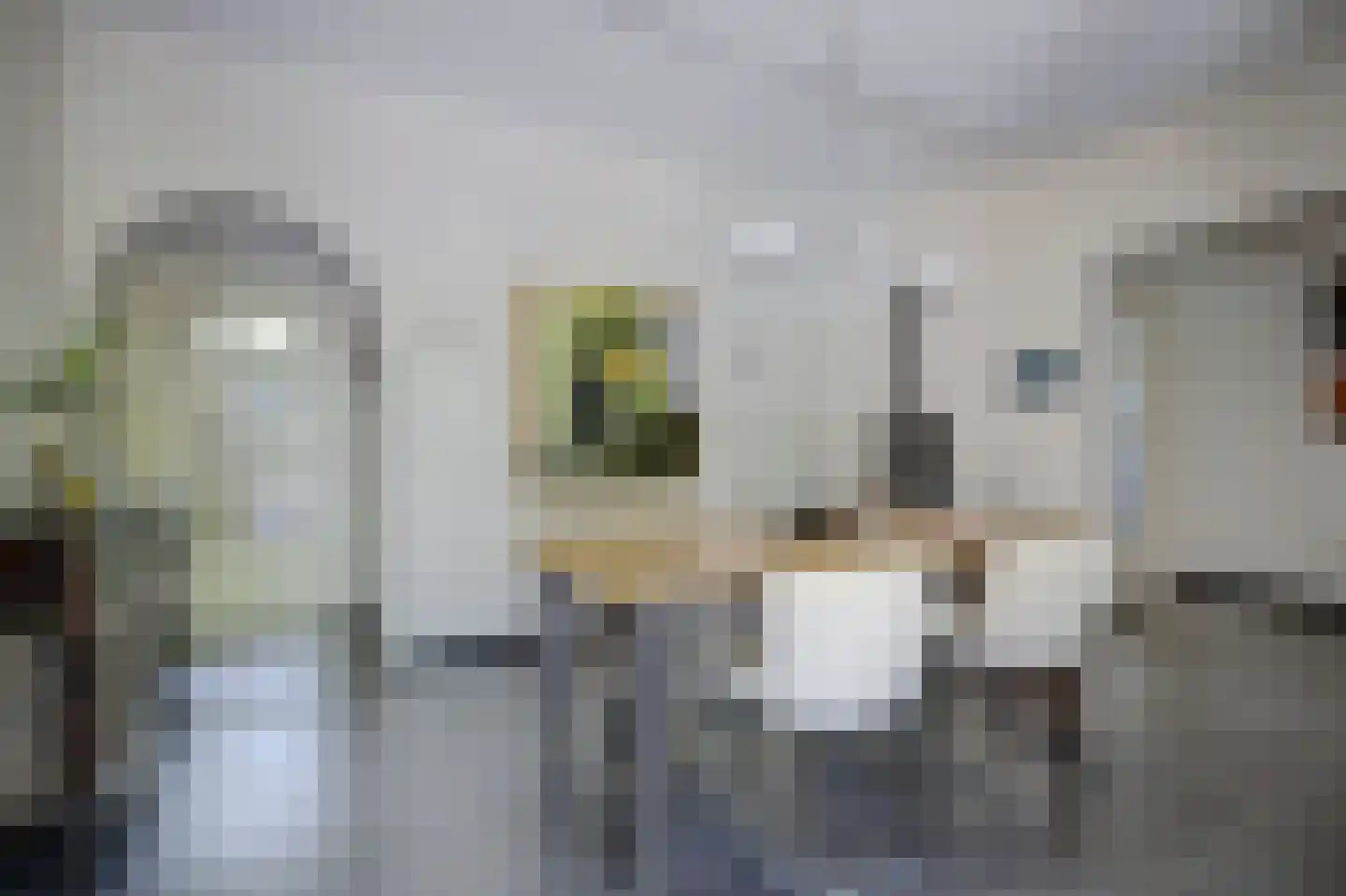 Asbroekweg 2 Maasbree thumbnail 30