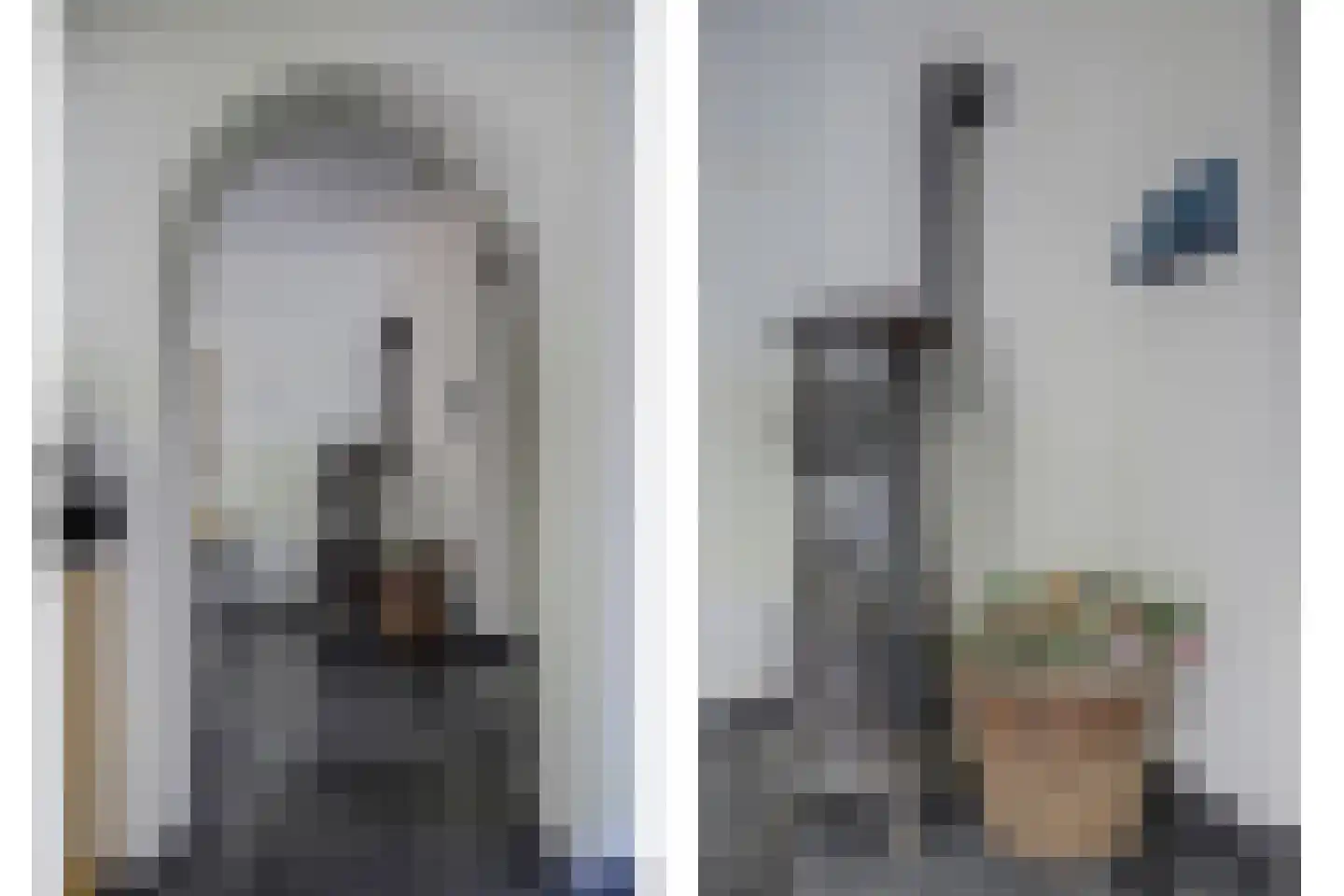 Asbroekweg 2 Maasbree thumbnail 31