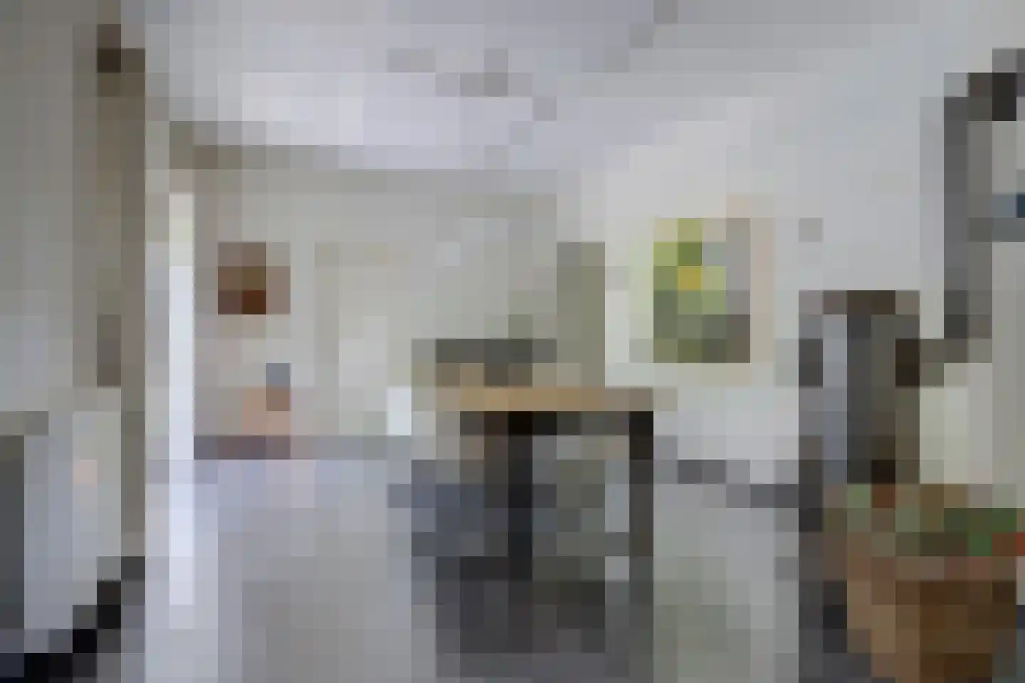 Asbroekweg 2 Maasbree thumbnail 33